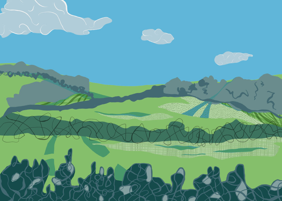 A stylised Cotswold Landscape. All greens, apart from a blue sky with three light grey clouds. There are dark green bushes in the foreground, fields and lines of trees in the mid ground and the background has a horizon of rolling hills, mostly covered in forest, with some ploughed fields. Illustrated by Tasha Goddard.